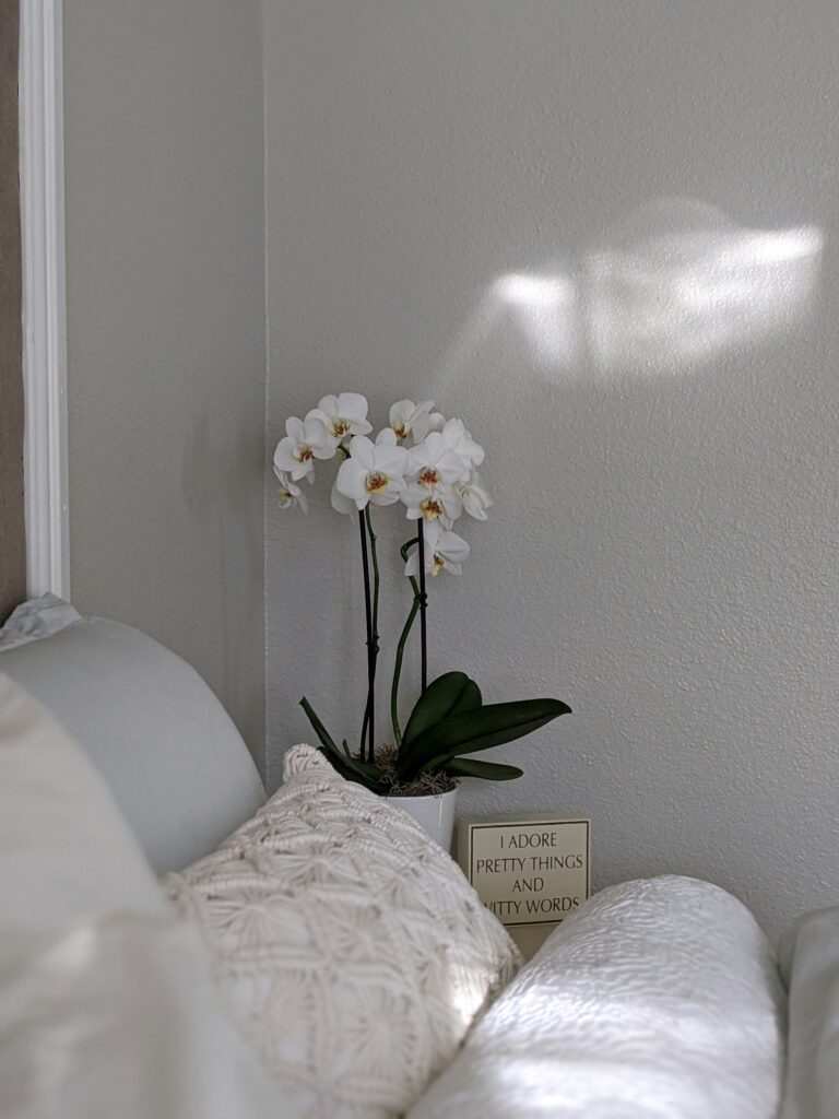 4.Estilohygge
